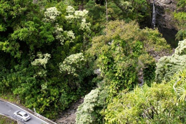 Road to Hana Rest Stops Tile Image