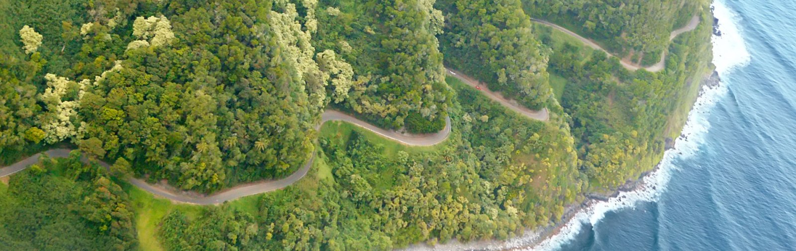 Curves on the Road to Hana