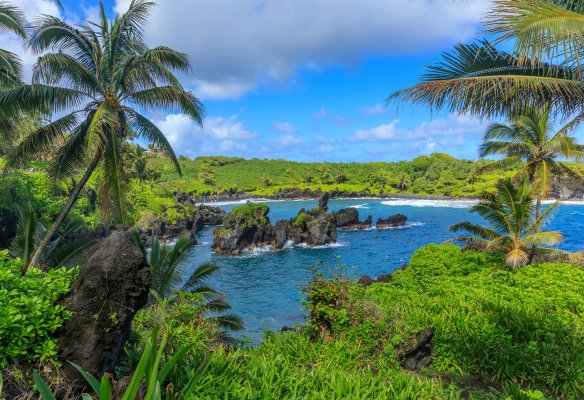 Road to Hana Full-Day Tour Image
