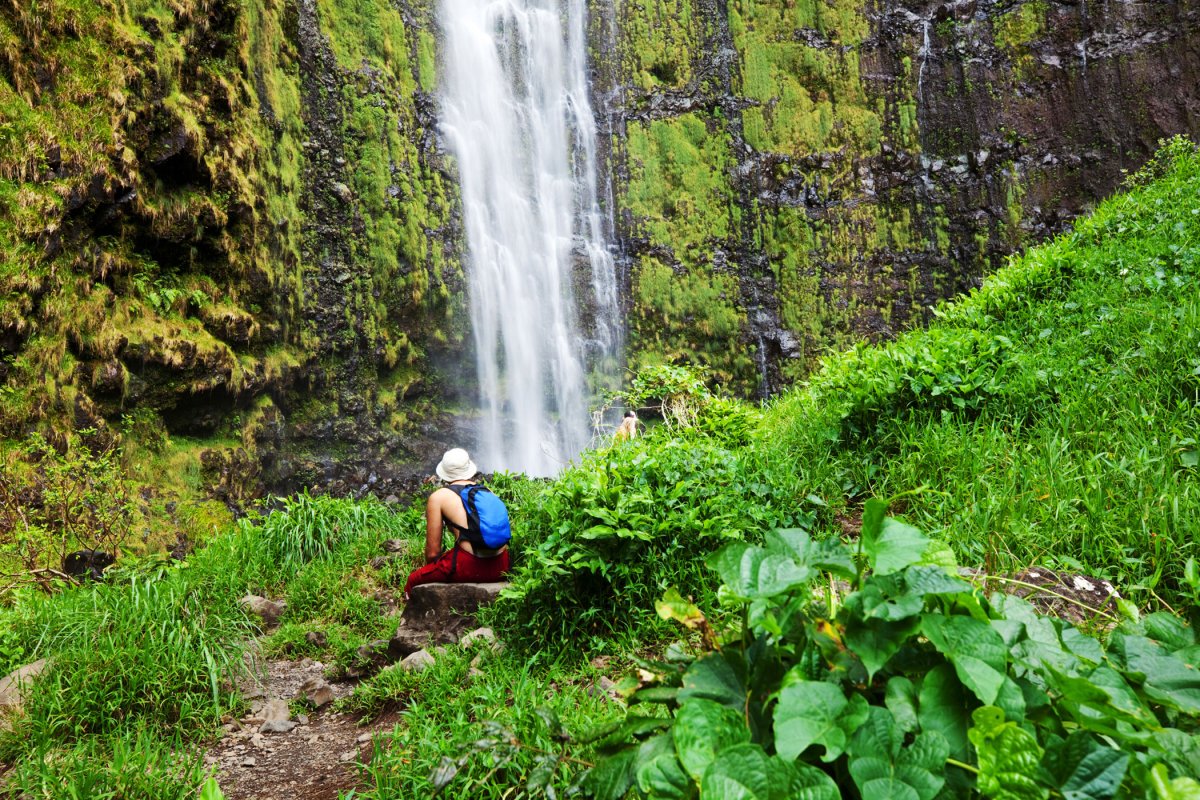 Waimoku Falls