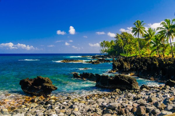 Is the Road to Hana Worth it? Tile Image