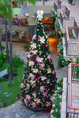 Plumeria Christmas Tree at Royal Hawaiian Center