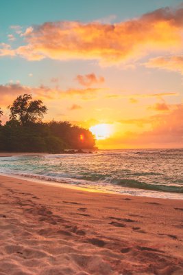 Sandy beach with the ocean, forest and palm trees on the left in the background and the sunset peaking around
