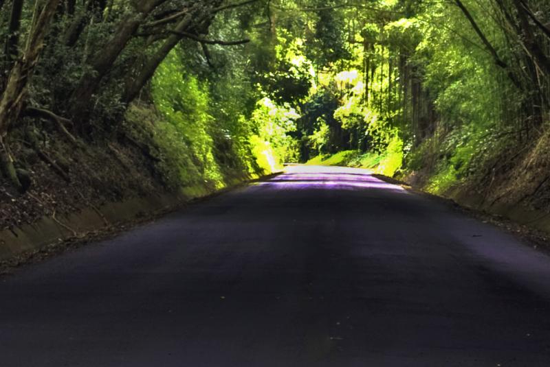 Scariest Roads on Oahu