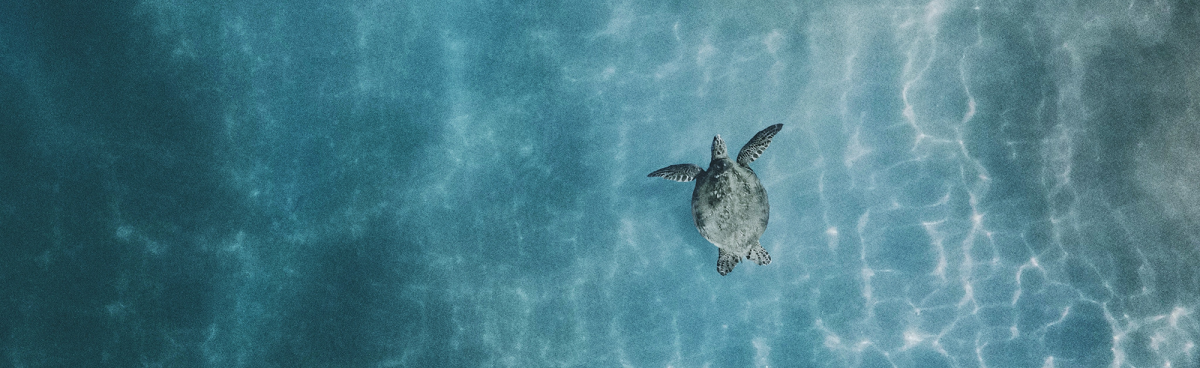 5 Fascinating Legends of Hawaiian Culture | Hawaii Travel Guide