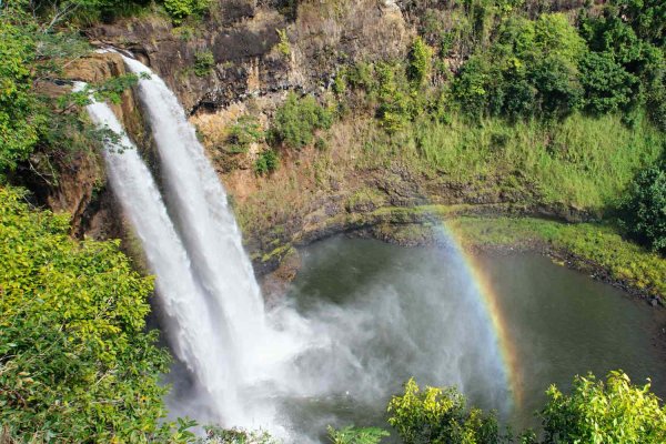Wailua Valley And Waterfalls Tour - $19.99 Tile Image