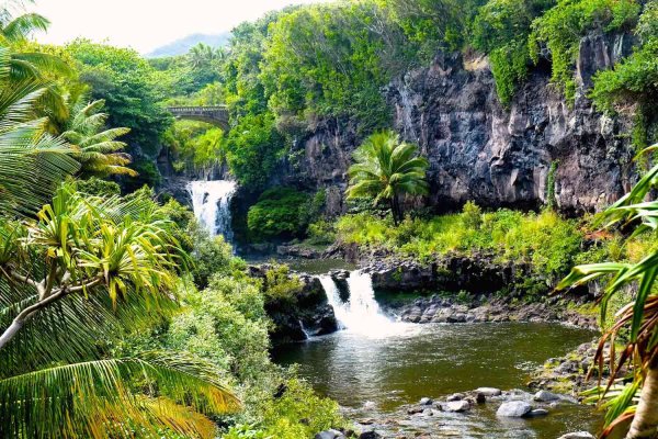  Loop Road To Hana Tour - $19.99 Tile Image