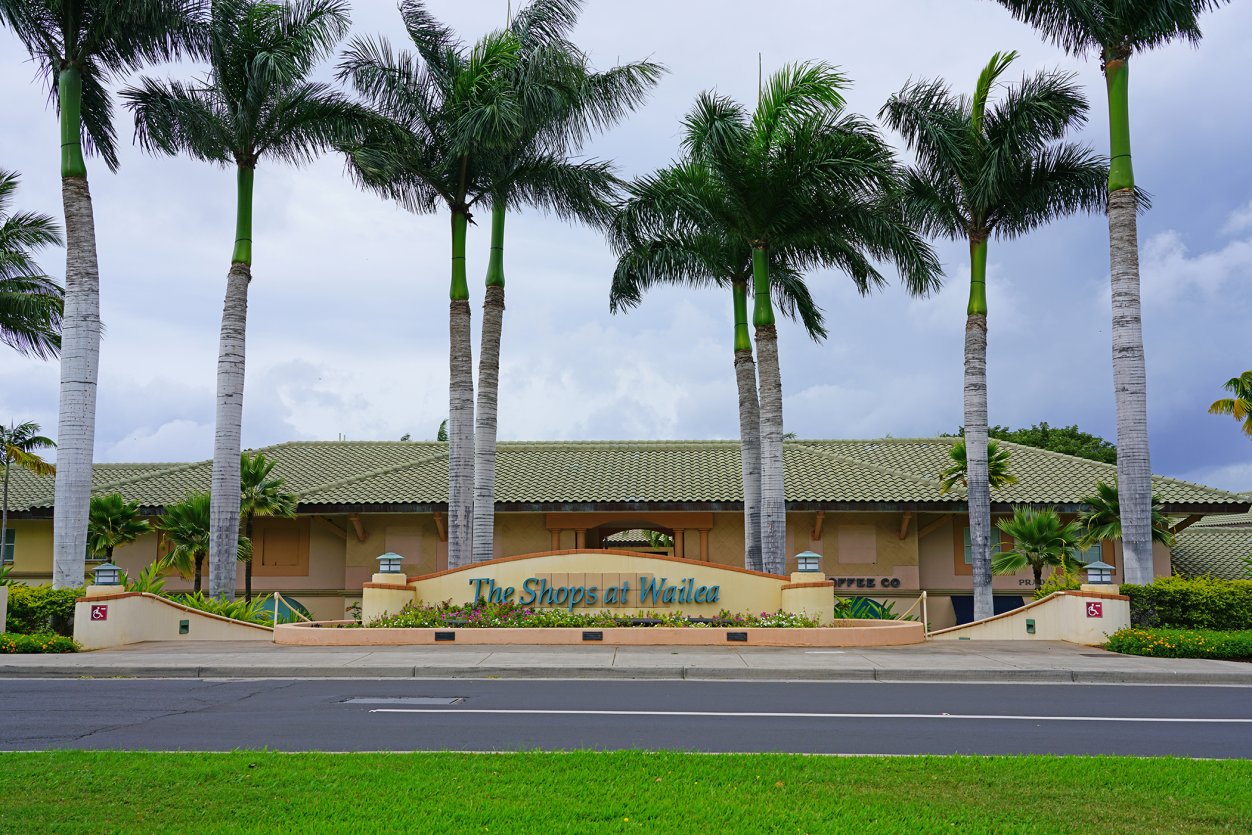 Photo by E Q Roy/Shutterstock