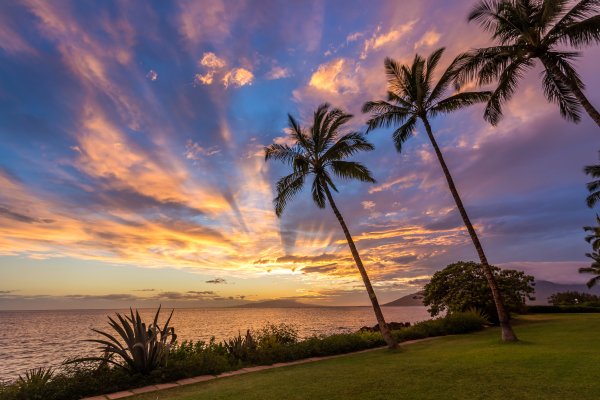 Top 5 Things to Do in Kihei Maui Tile Image