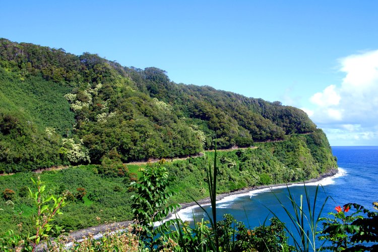 Hana Highway Region Image