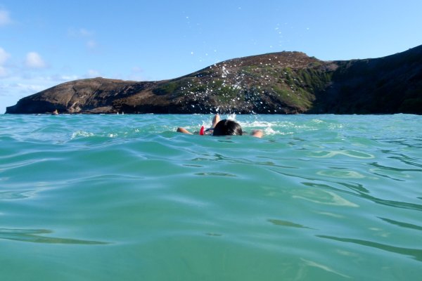 Oahu Snorkeling Tours Tile Image