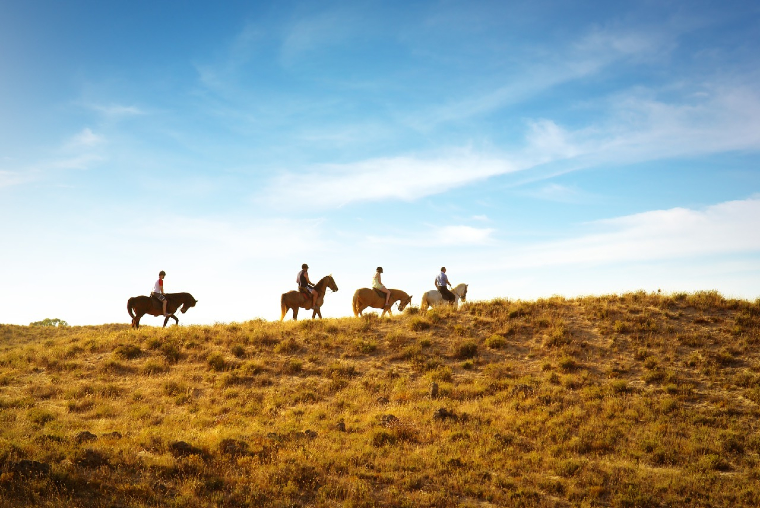 Horseback Riding on Kauai