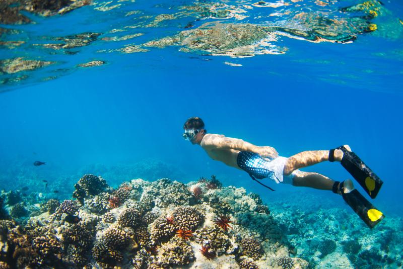 Big Island Snorkeling Tours