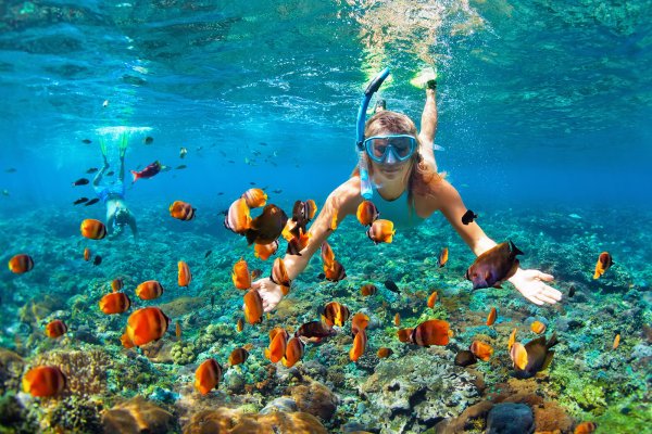 Hawaii Snorkeling Tours
