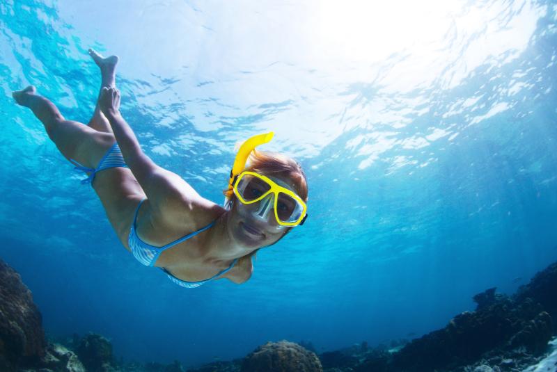 Maui Snorkeling Tours