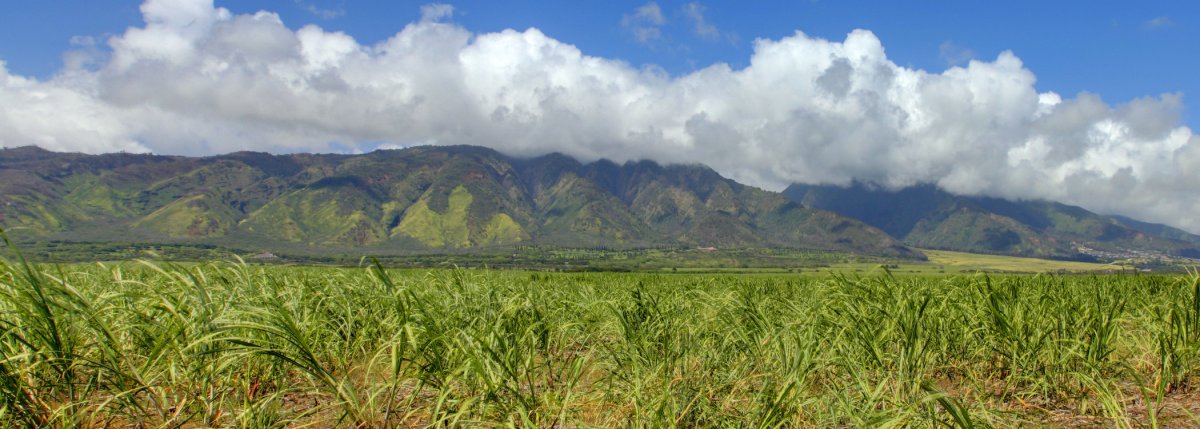 Alexander & Baldwin Sugar Museum