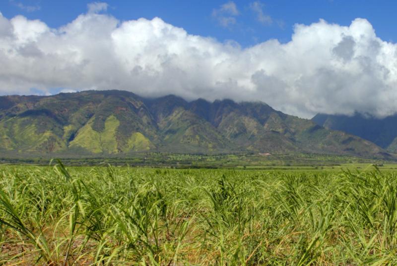 Alexander & Baldwin Sugar Museum