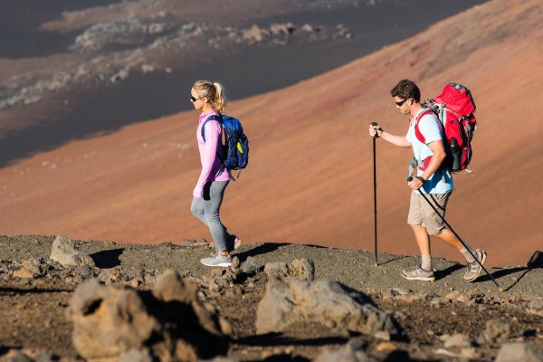 Supply Trail Tile Image