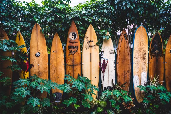 Surfboards at Hanalei Beach, one of the most popular beaches to visit in Hawaii