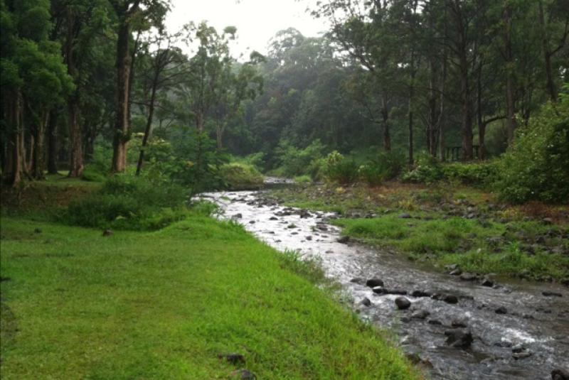 Keahua Forestry Arboretum