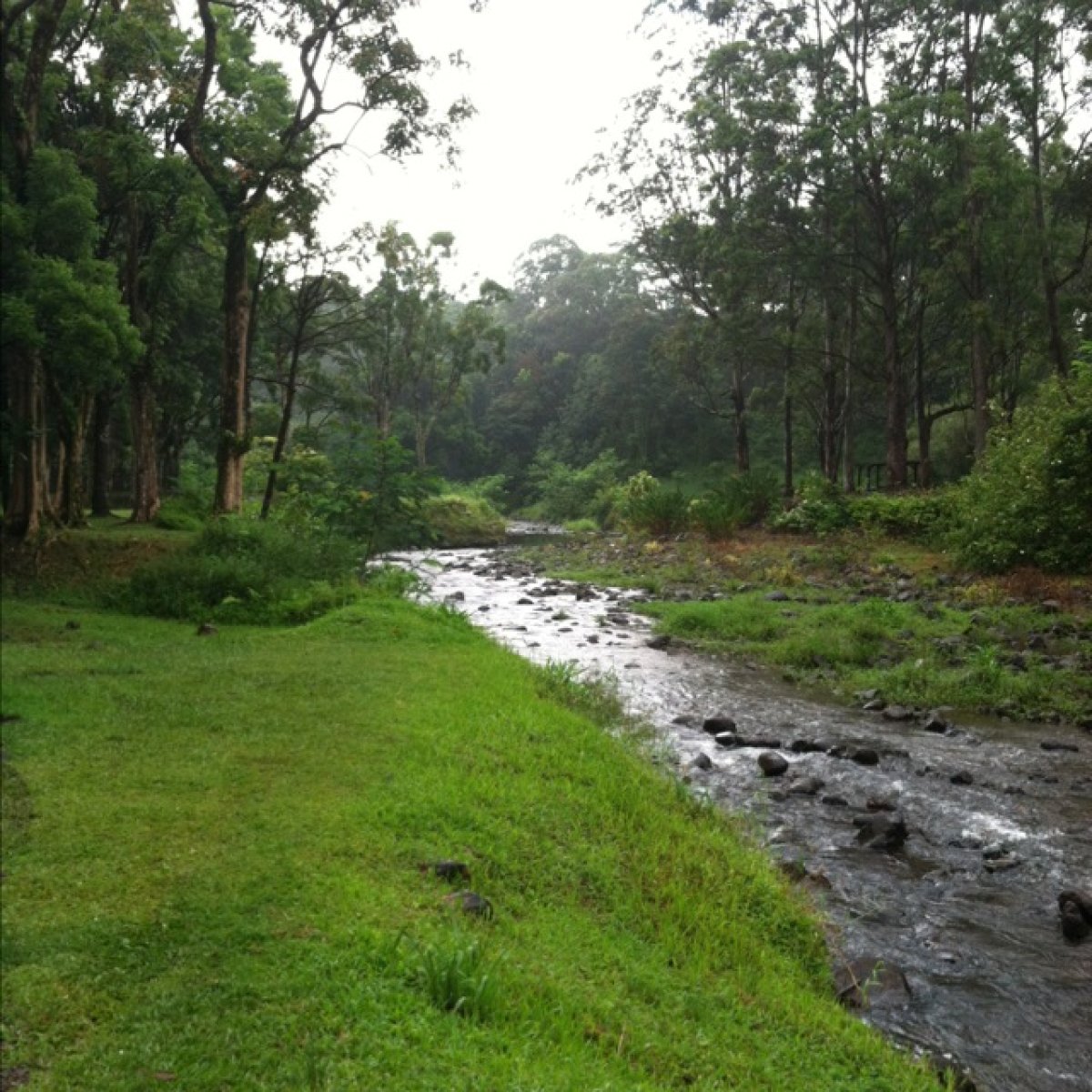 Keahua Forestry Arboretum