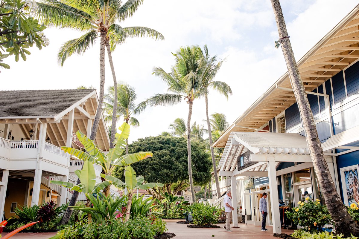 Photo by Bluestork/Shutterstock