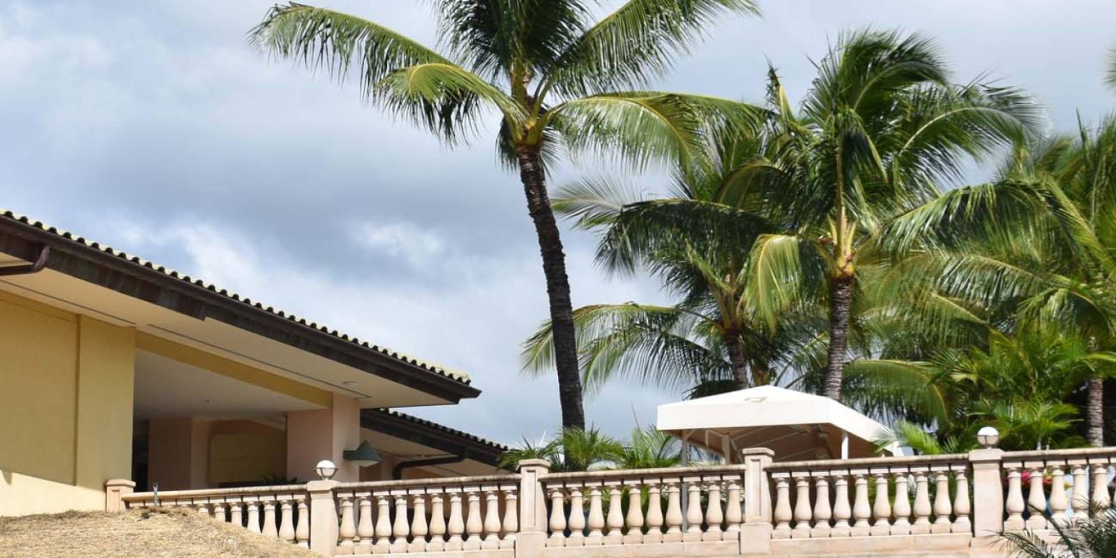Experience The Shops at Wailea: Maui's Luxury Lifestyle Destination