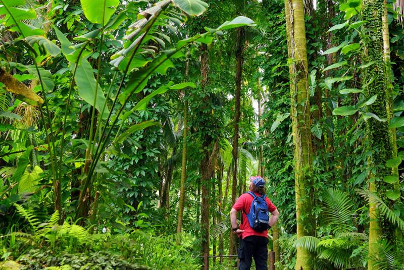 Big Island Essential Things to Know