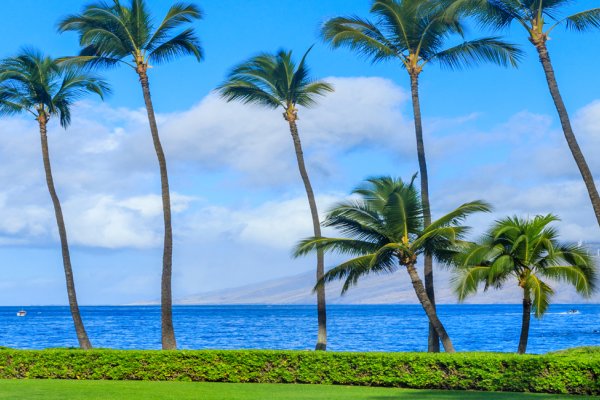 Top 5 Things to Do in Wailea Tile Image