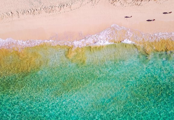 Things to do in Maui for Free: Our Ultimate Guide