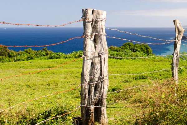 Top 4 Things to Do in Hawi Tile Image