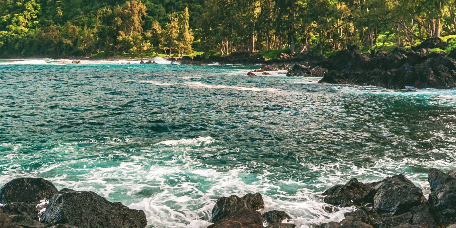 Things to Do in Honoka'a, Big Island: Waipio Valley & Town (2026)