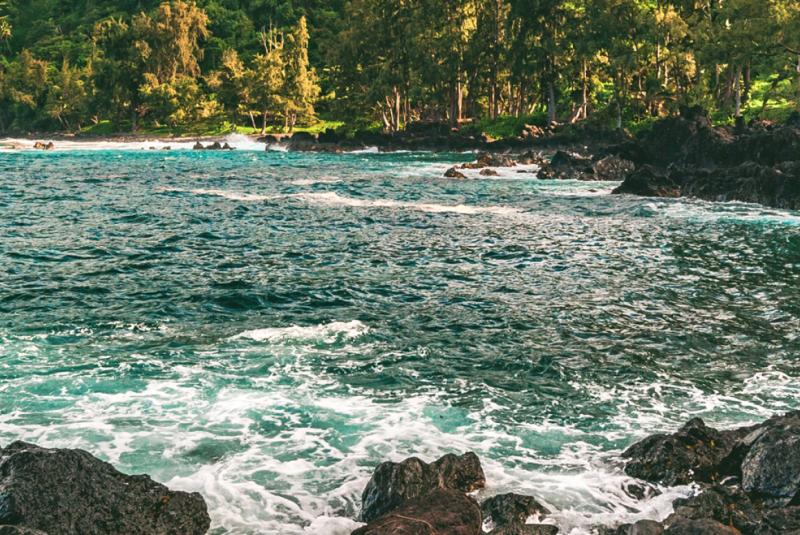 Top 4 Things to Do in Honokaa