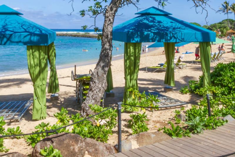 Top 4 Things to Do in Kahuku