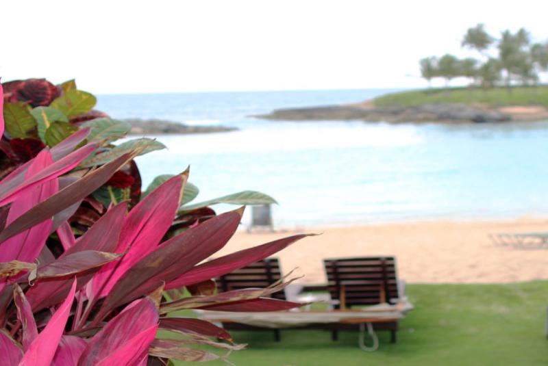 Top 5 Things to Do in Kapolei