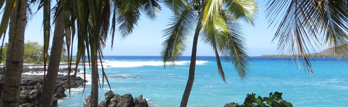 Best Things To Do in Kealakekua & Captain Cook