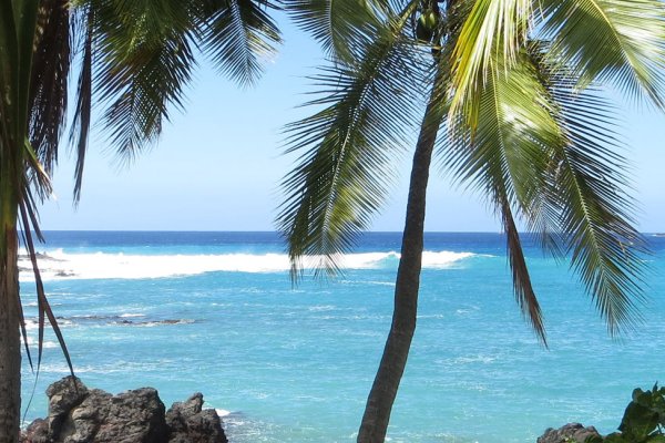 Top 4 Things to Do in Kealakekua & Captain Cook Tile Image