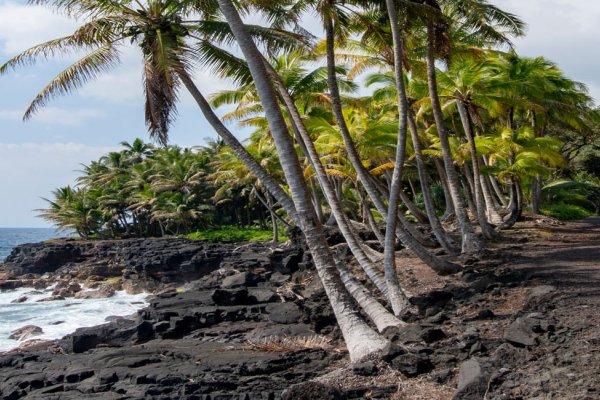 Top 3 Things to Do in Pahoa Tile Image