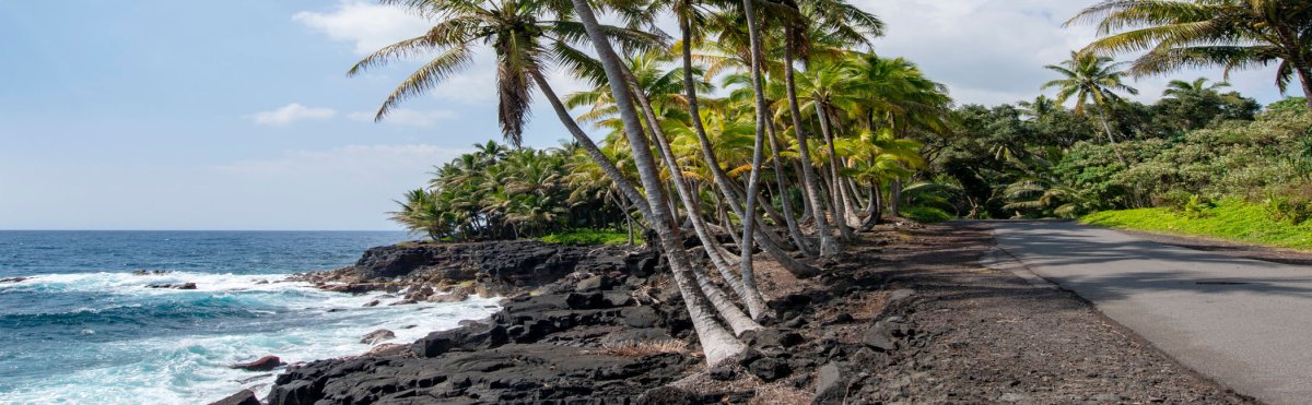 Best Things To Do in Pahoa | Big Island Hawaii