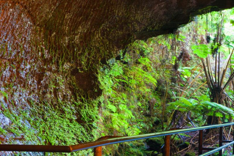 Top 5 Things to Do in Volcano