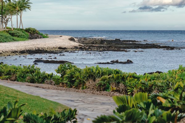 Top 5 Things to Do in Waikoloa (Village) Tile Image