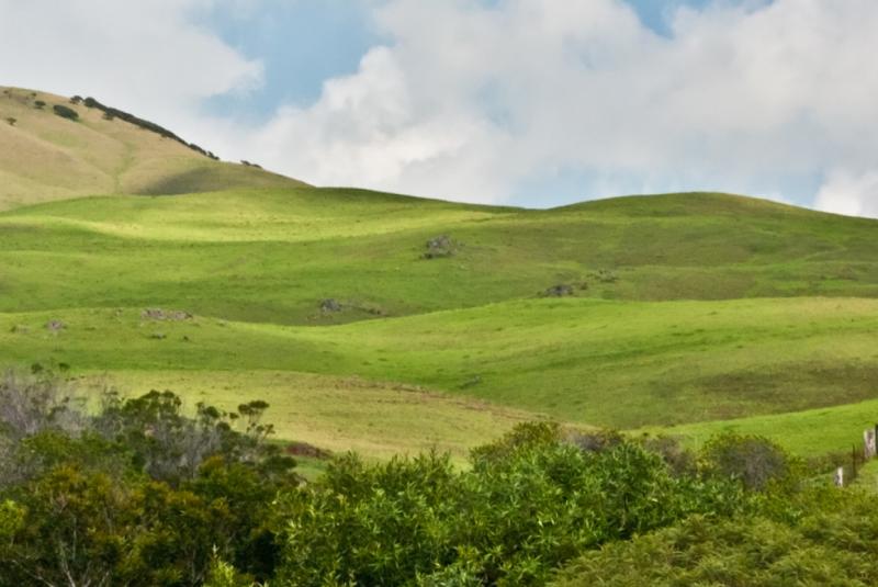 Top 4 Things to Do in Waimea