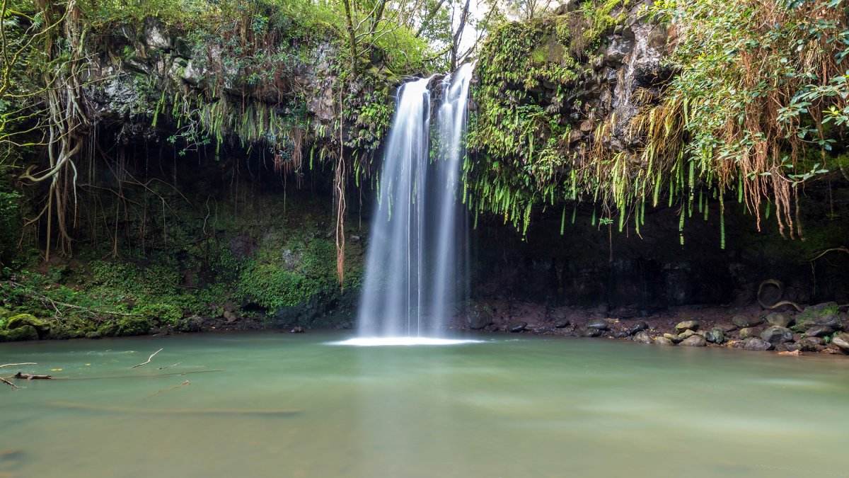 Twin Falls Information, Photos & More | Maui Hawaii