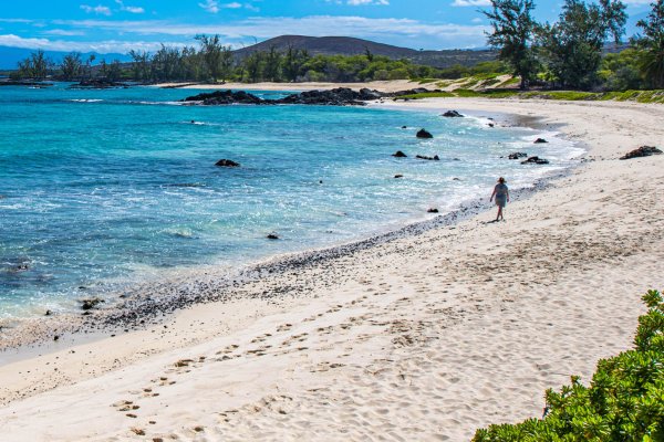 About Tori C. Derrick Tile Image