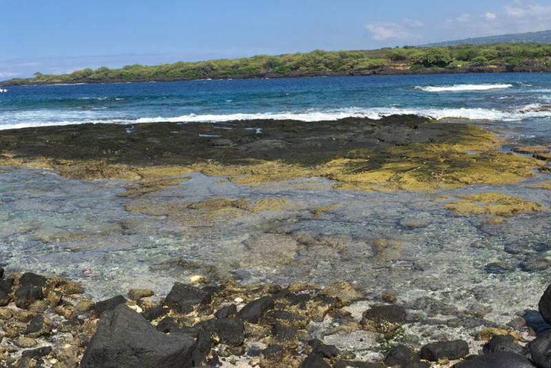 Where to see Manta Rays on The Hawaiian Islands