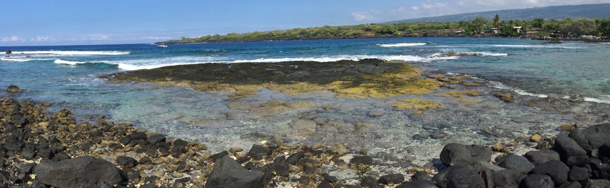 Where To See Manta Rays in Hawaii: Information, Photos & More