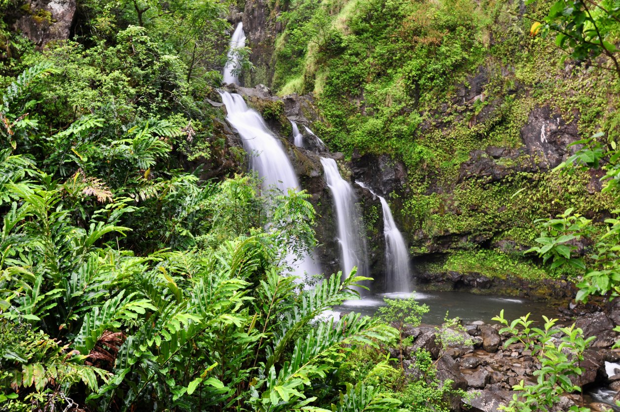 Upper Waikani Falls - Road to Hana