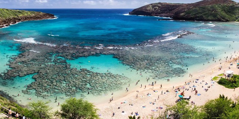 Waikiki & Honolulu Beaches