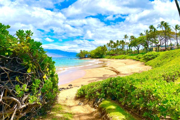 Wailea Beach Tile Image