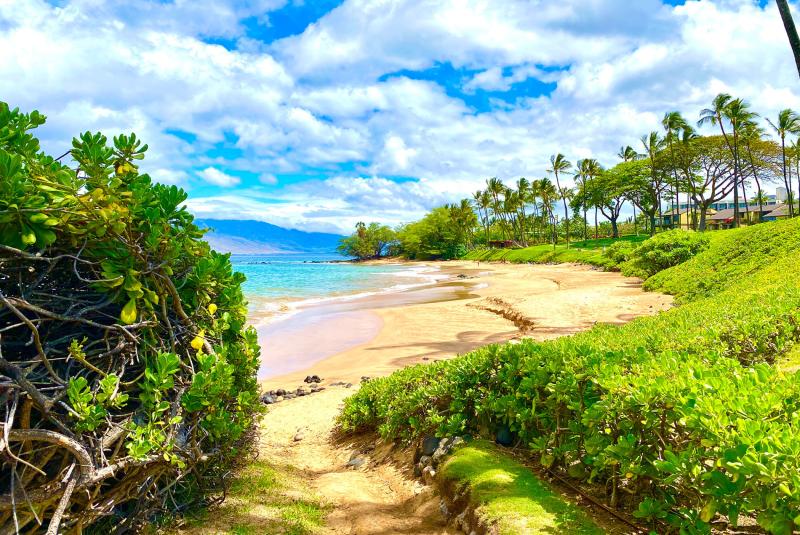 Wailea Beach